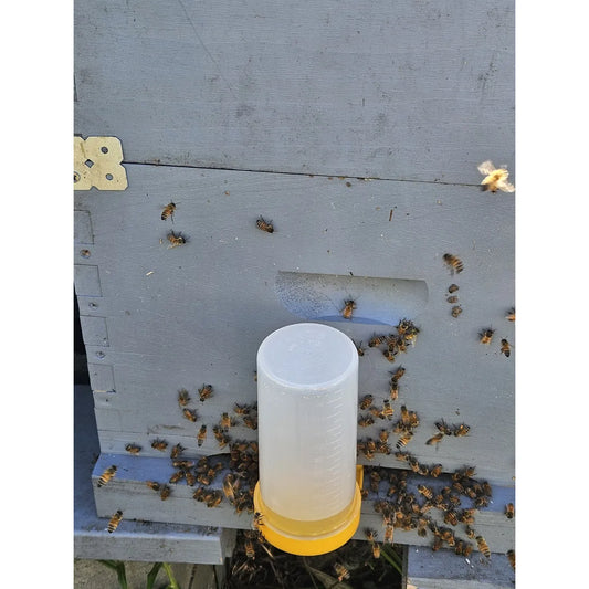 Round entrance feeder mounted on beehive with honeybees feeding and clustering at hive entrance