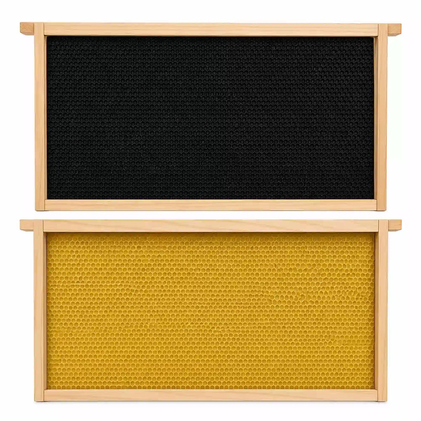 Plastic embedded beehive frames