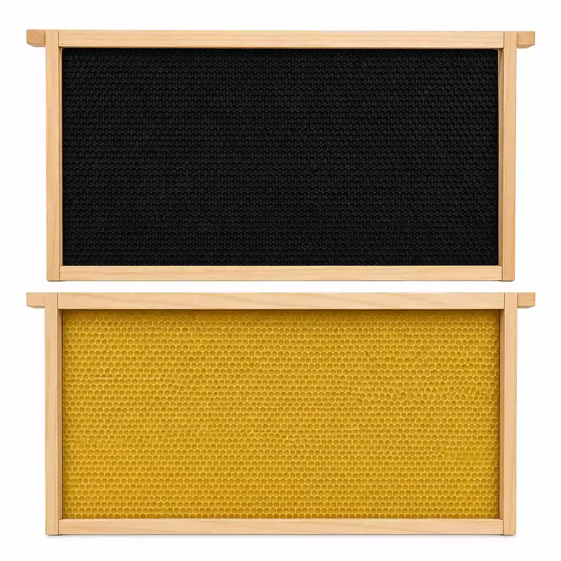 Plastic embedded beehive frames