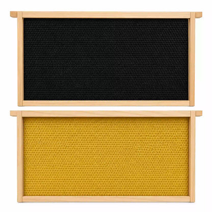 Plastic embedded beehive frames