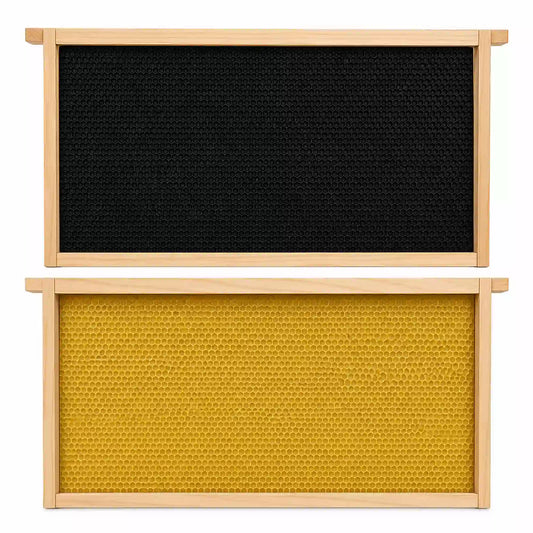 Plastic embedded beehive frames