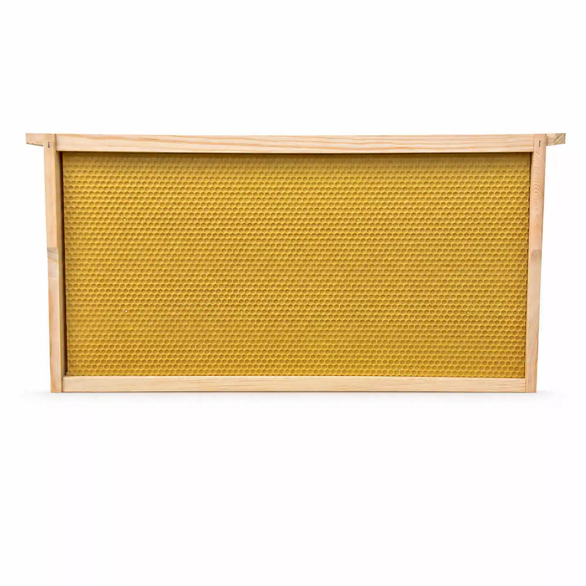 Transparent Bee Frame Buy Full Depth Assembled Plastic Embedded Beehive Frames