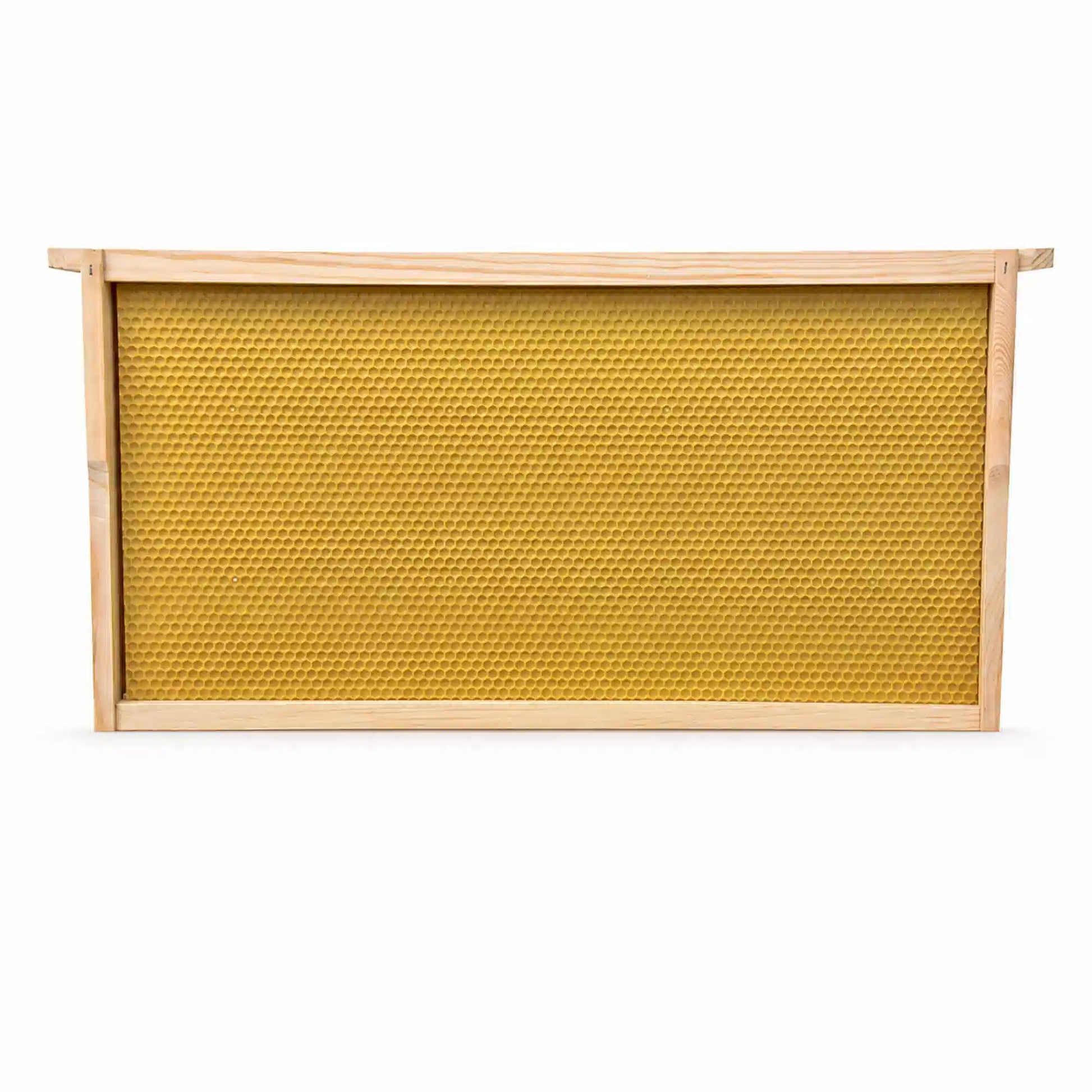 Yellow plastic embedded beehive frame for beekeeping