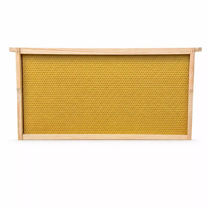 Yellow plastic embedded beehive frame for beekeeping