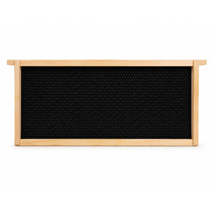 Wooden beehive frame with black plastic foundation