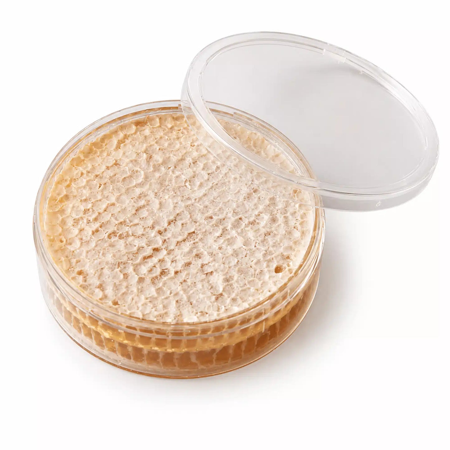 Honeycomb Frames with 8 Round Honeycomb Boxes
