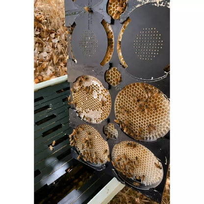 Honeycomb Frames with 8 Round Honeycomb Boxes