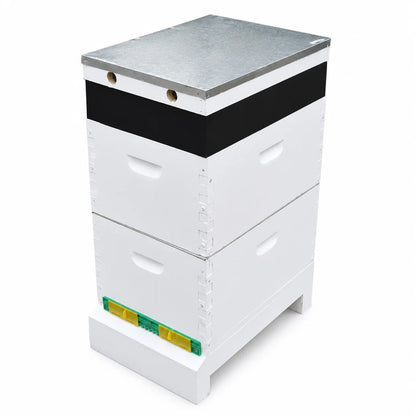 White wooden Langstroth beehive with metal roof and entrance reducer