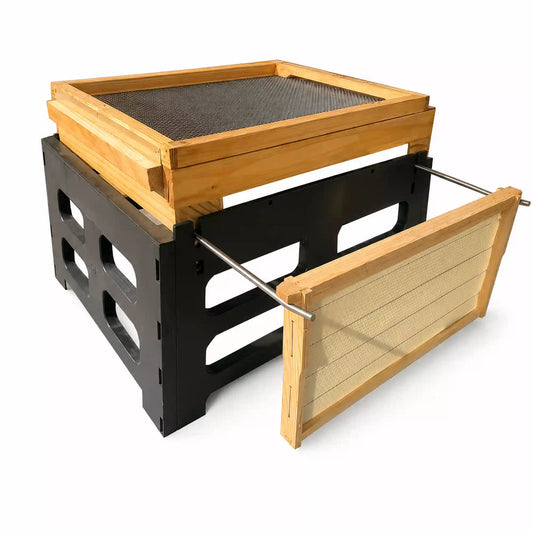 Board With Beetle Trap 