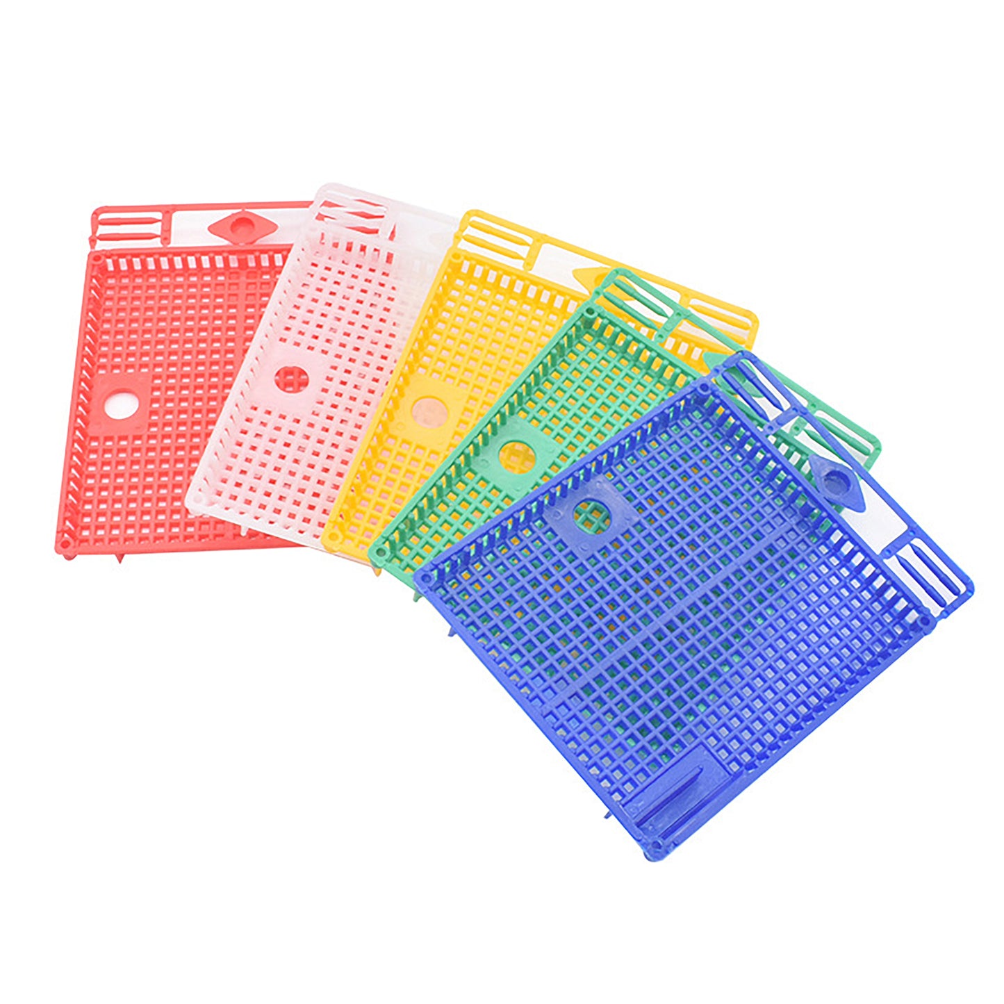 Plastic Queen Cages – Pack of 2