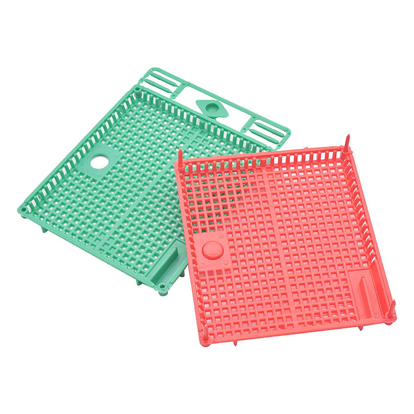 Plastic Queen Cages – Pack of 2
