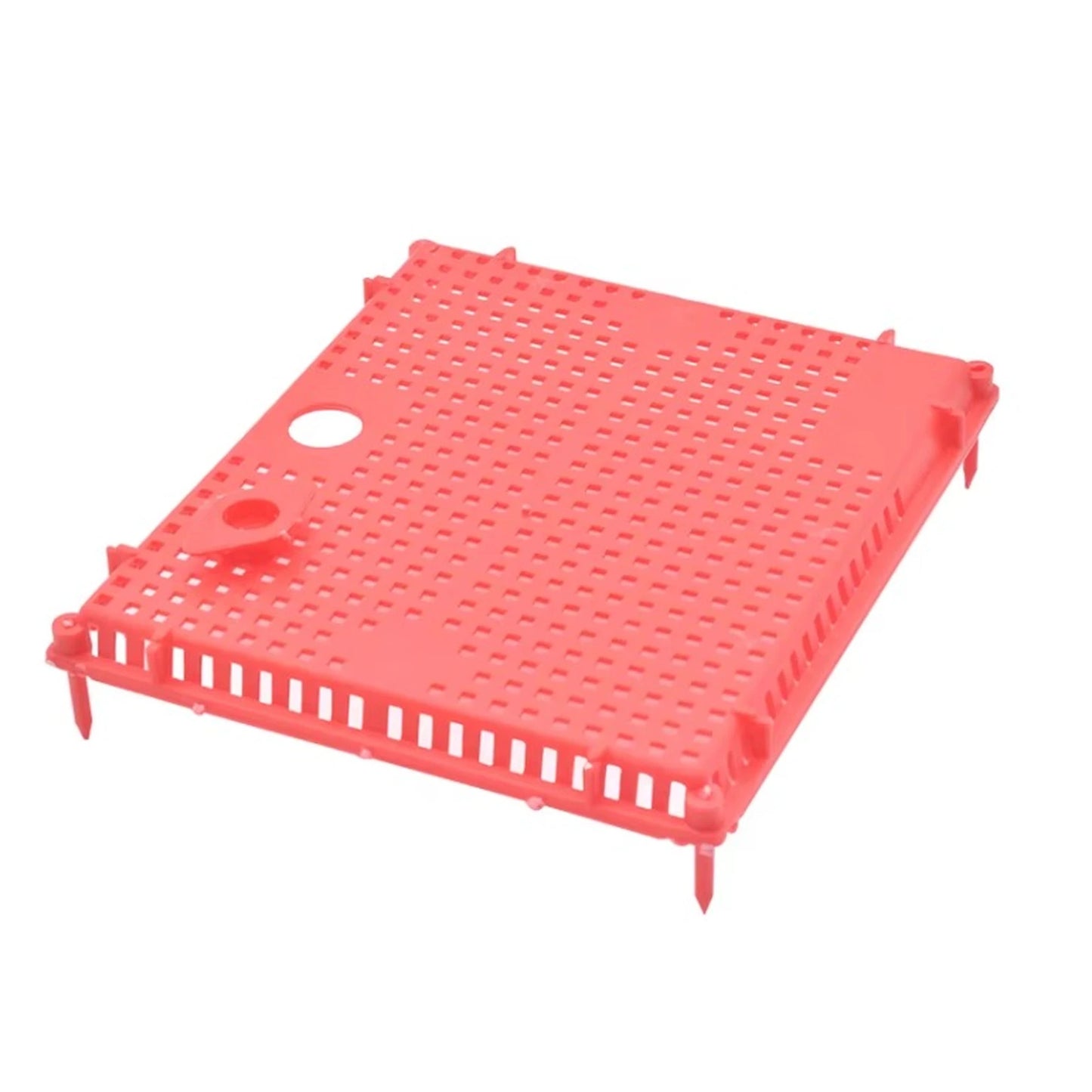 Queen isolation cage with perforated plastic grid and mounting legs