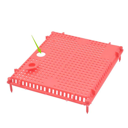 Queen isolation cage showing queen entry hole highlighted