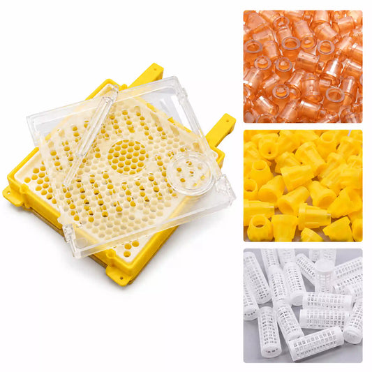 Queen Rearing Kit