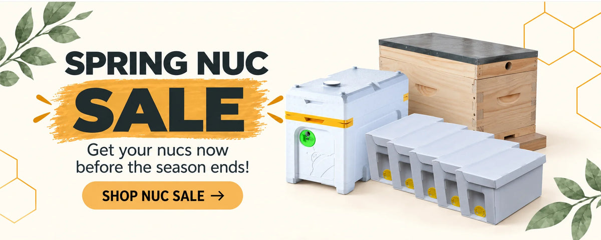 Promotional banner for a spring nucs sale, featuring a white plastic bee propolis storage container with a green indicator, a wooden beehive box with a dark lid, and a white plastic frame comb hive, set against a light cream background with decorative leaves and text.