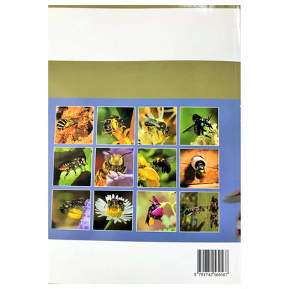 Australian Native Bees guide book sample page showing native bee photos and information
