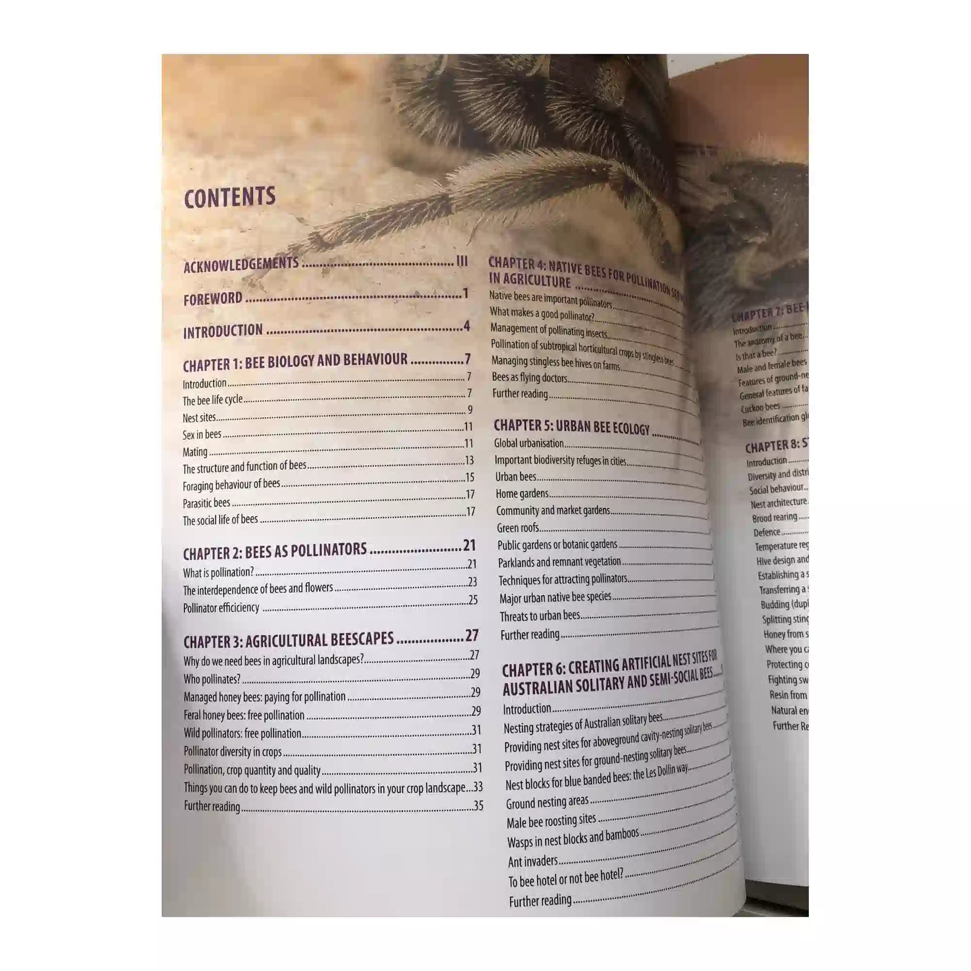 Open Australian Native Bees book with illustrated pages about native bee species