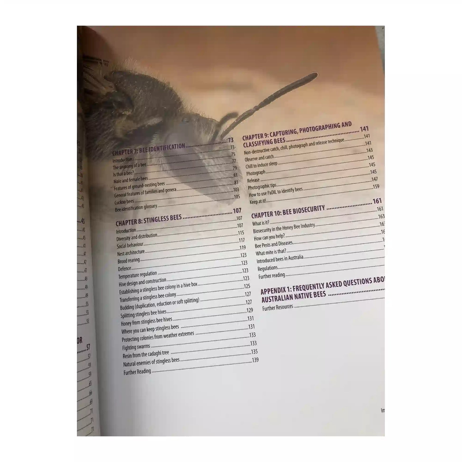 Inside pages of Australian Native Bees guide book showing detailed native bee information
