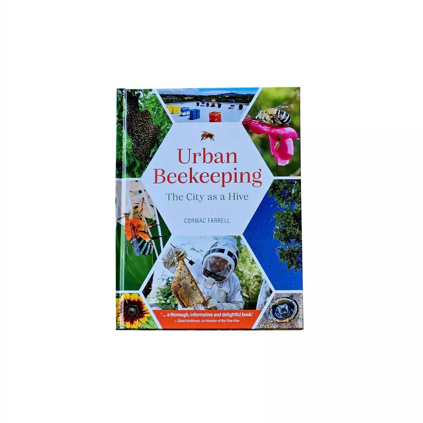 Urban Beekeeping — The City as a Hive
