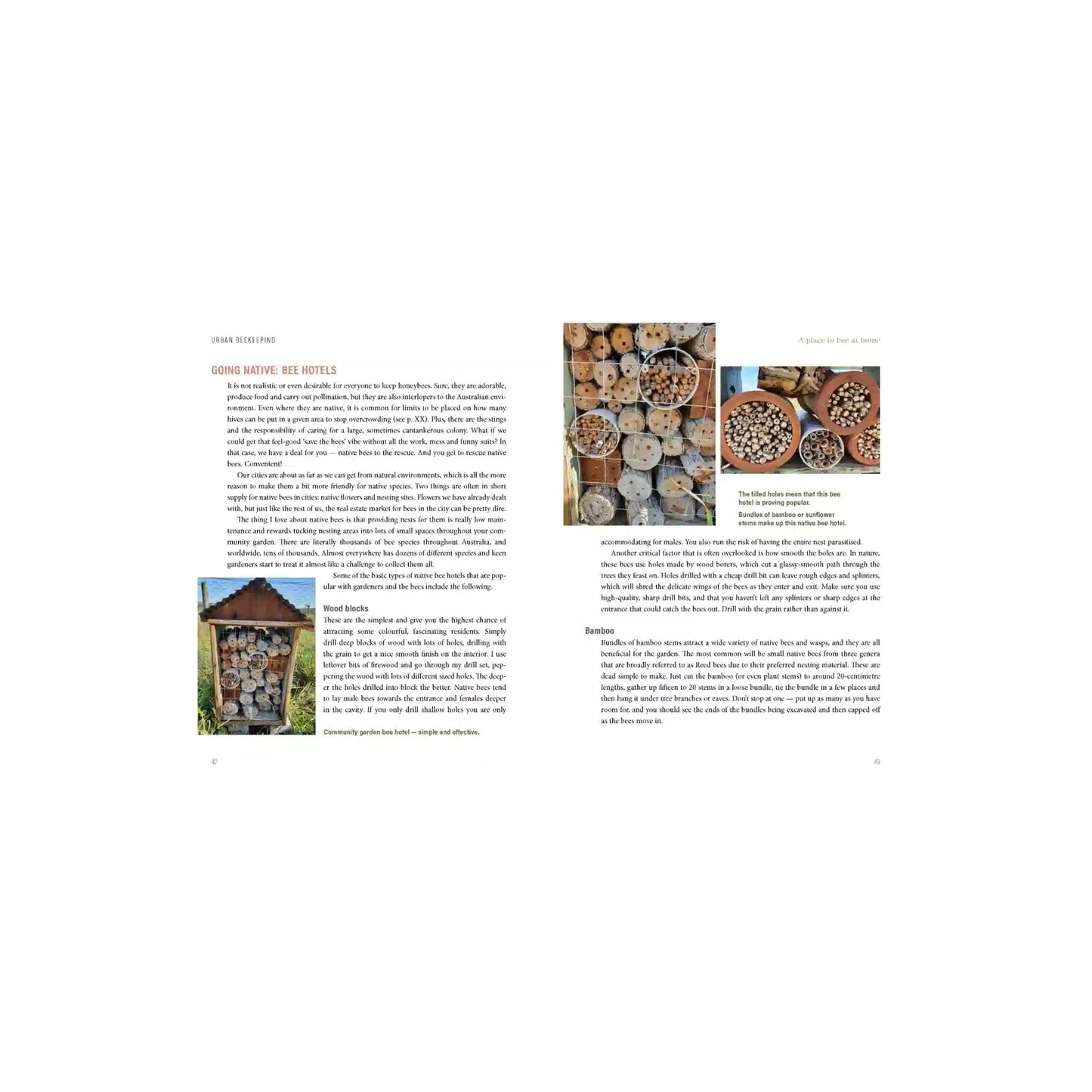 Urban Beekeeping — The City as a Hive