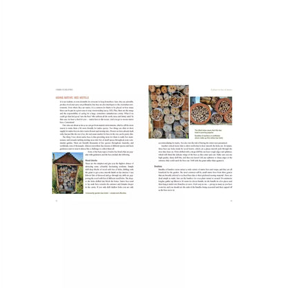 Urban Beekeeping — The City as a Hive