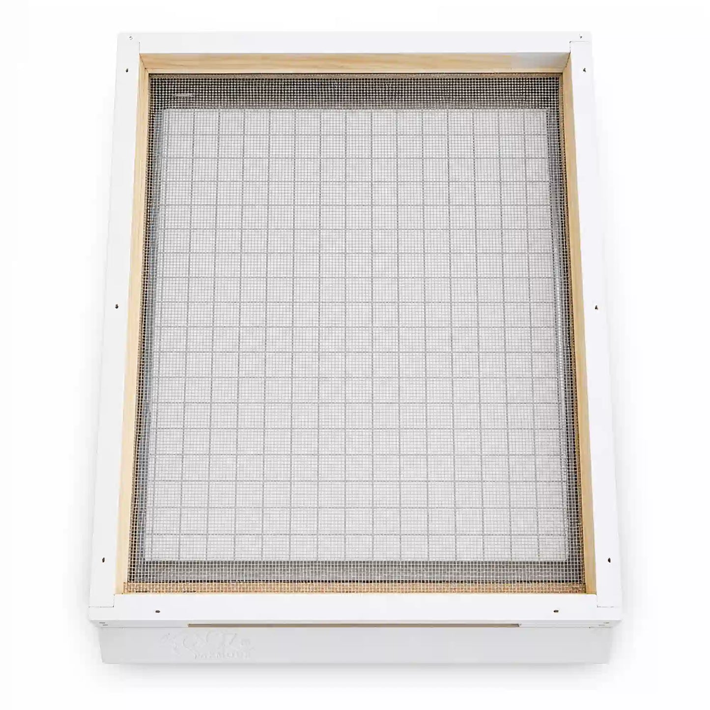 Varroa Mite Sticky Board – Side View