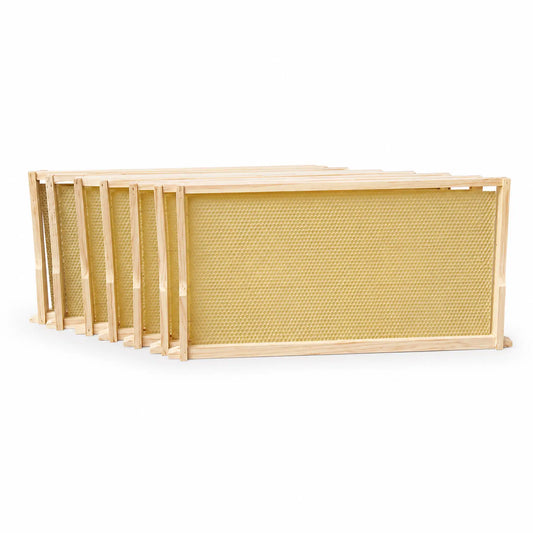 WSP  Assembled Wax Embedded Beehive Frames
