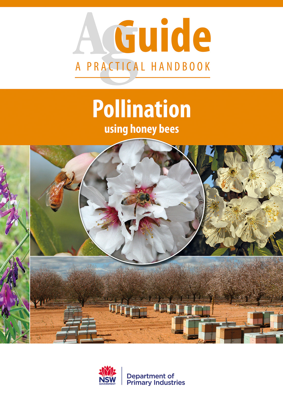 Pollination Using Honey bees