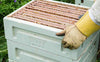 Honey Paw Polystyrene 10 Frames Beehive Three Level with Mesh bottom Board & Varroa pest Control Tray