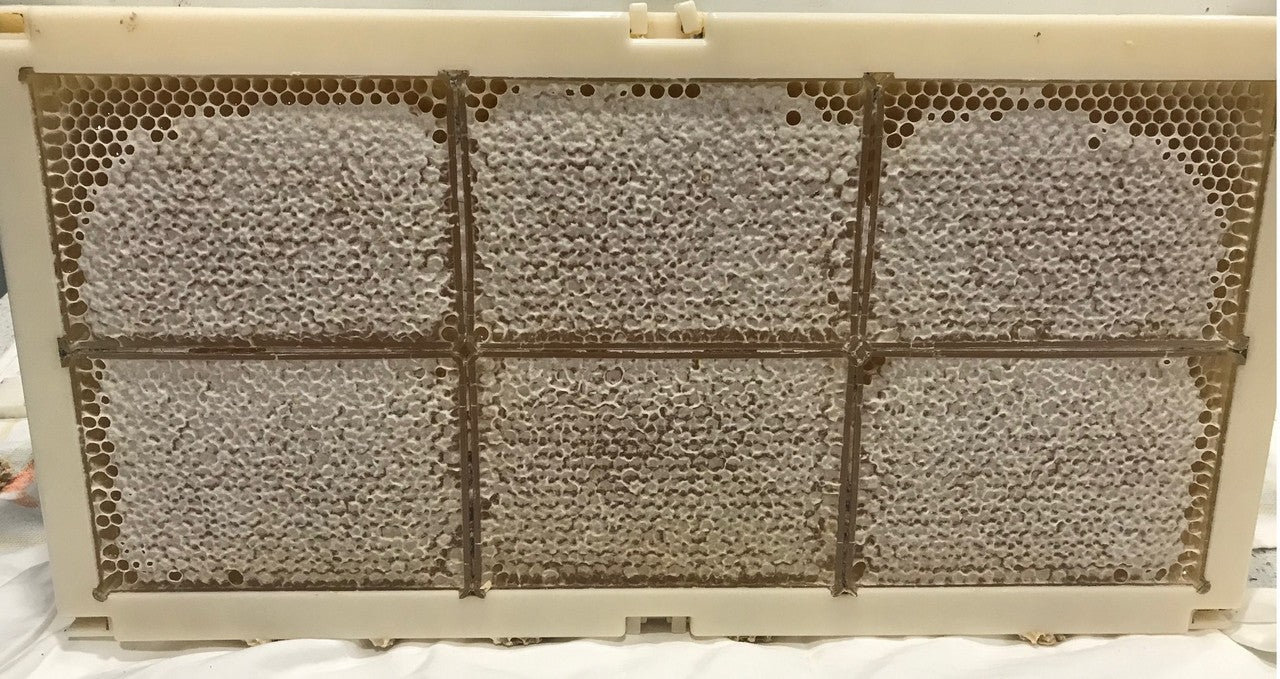 Honeycomb Plastic Frames