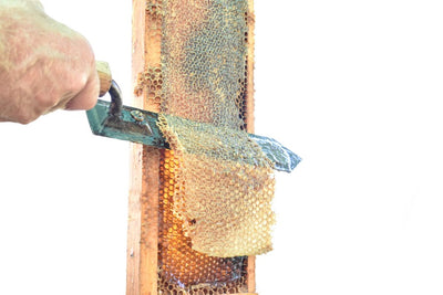 Battery Operated Electric Uncapping Knife - Beekeeping Gear