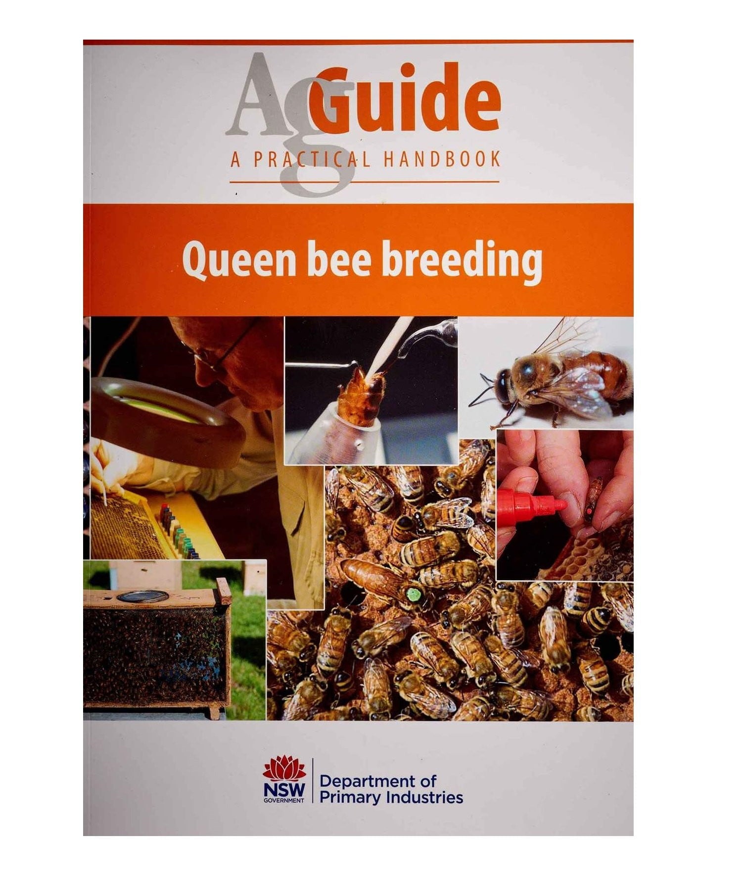 Queen Bee Breeding,Beekeeping,beekeeping gear,oz armour