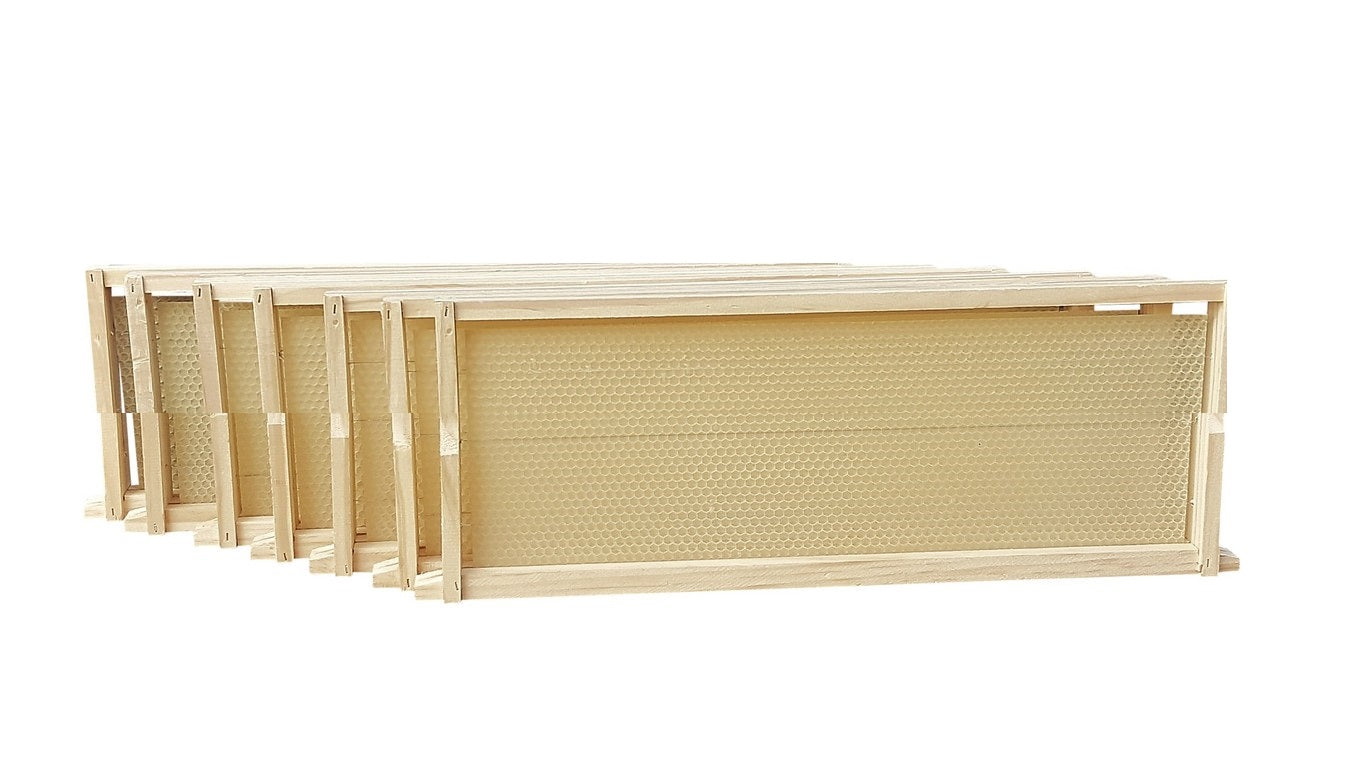 Ideal (Half Depth) Assembled New Zealand Pine & Wax Embedded Frames - Beekeeping Gear
