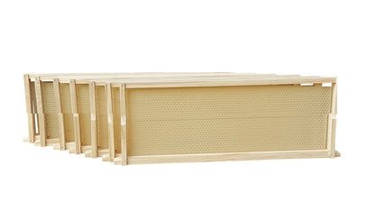 Ideal (Half Depth) Assembled New Zealand Pine & Wax Embedded Frames - Beekeeping Gear