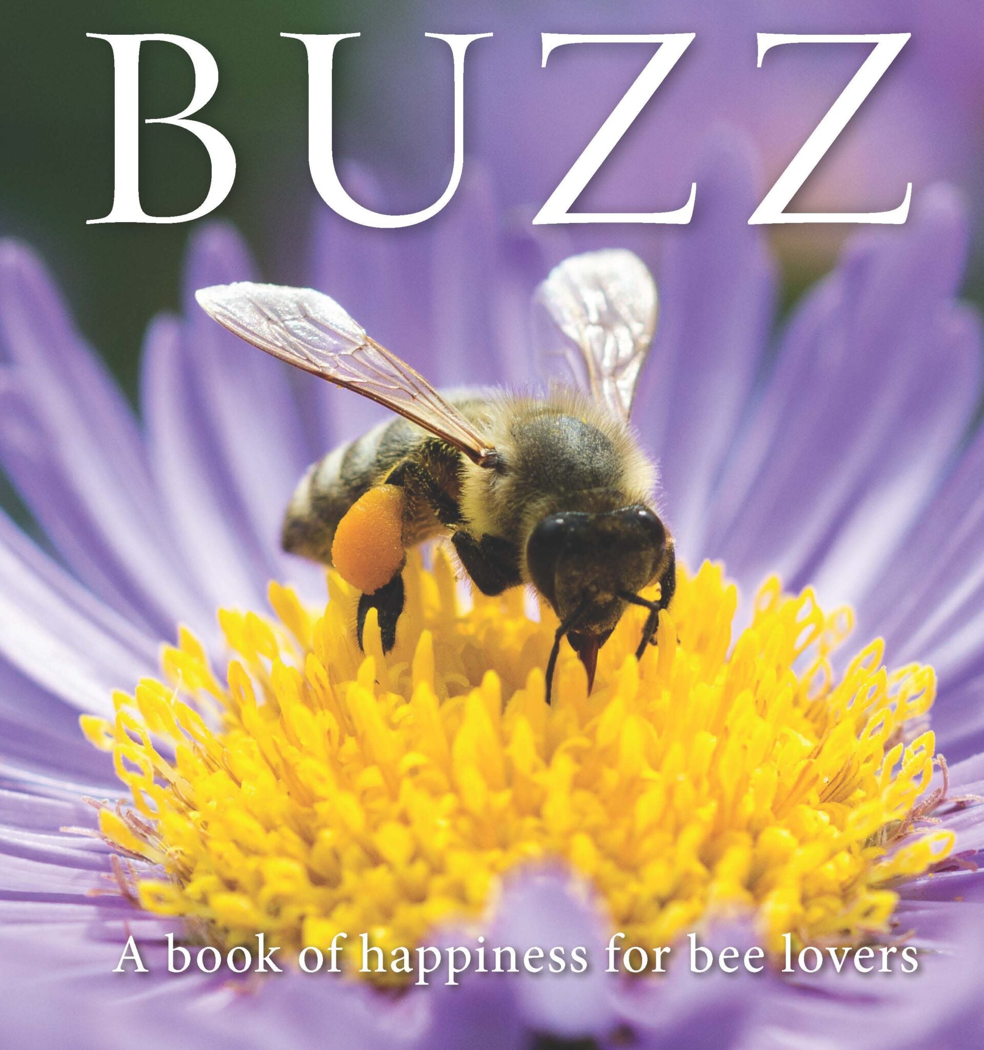 Buzz: A book of happiness for bee lovers