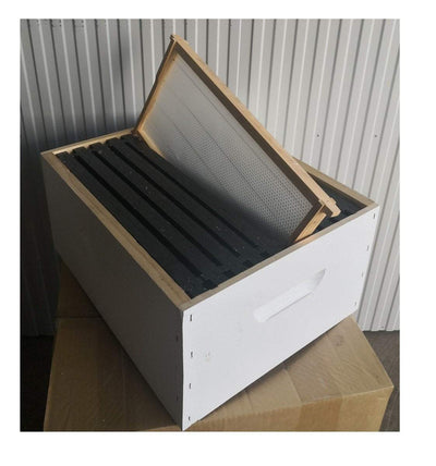 OZ ARMOUR Assembled & Painted Box 10 Frames With Optional Frames - Beekeeping Gear