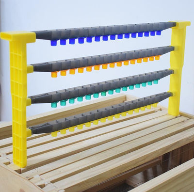 Queen Rearing Plastic Frame With 4 Cell Bars and 100 Cups